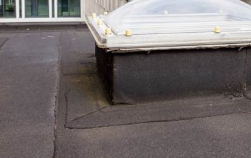 disadvantages of Dale Moor flat roofs