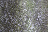 Dale Moor fibreglass roof work